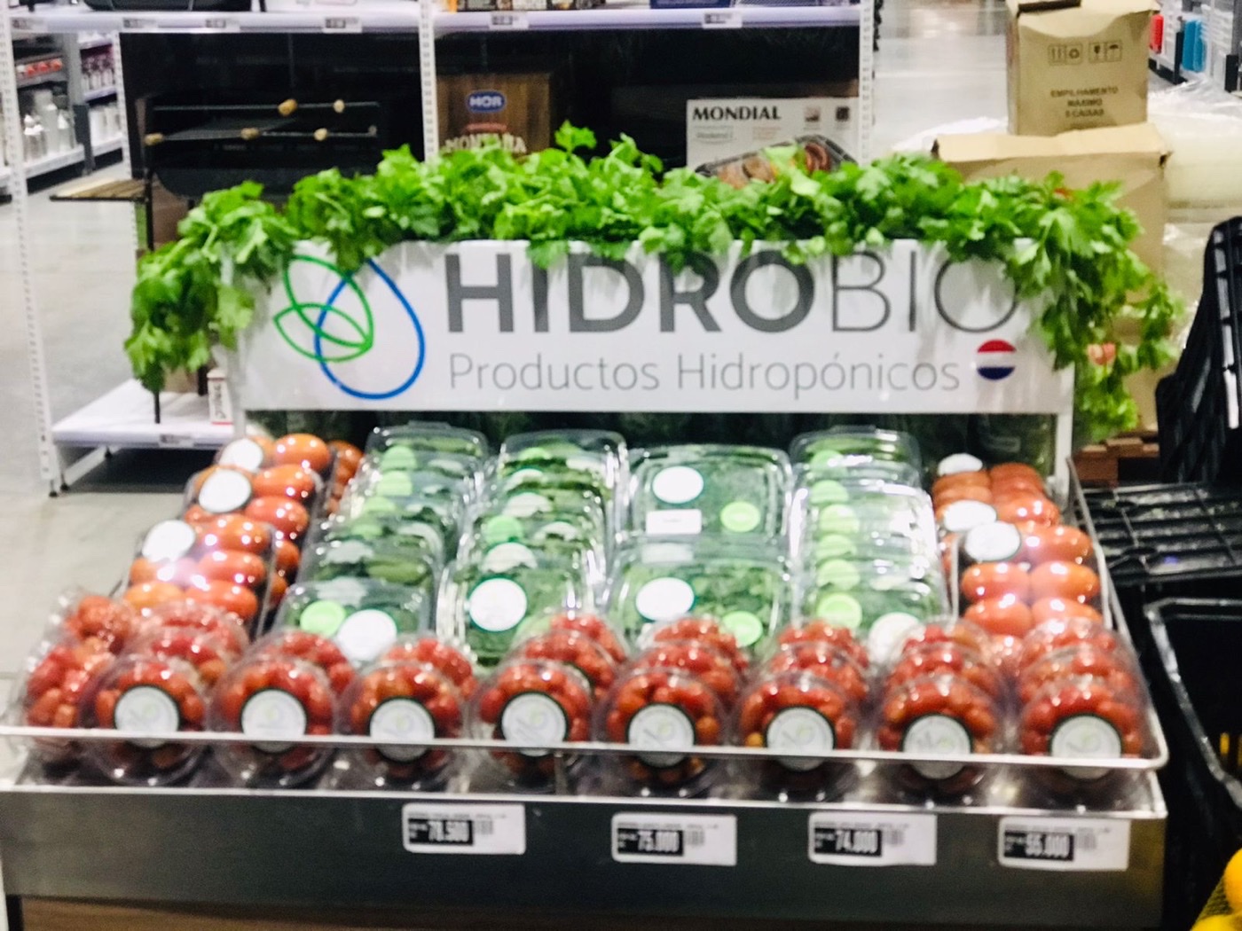 HidroBio branded supermarket display — full product range with packaged tomatoes, lettuce, and herbs with visible price tags